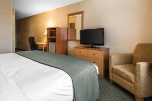 Hotel Comfort Inn