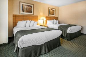 Hotel Comfort Inn