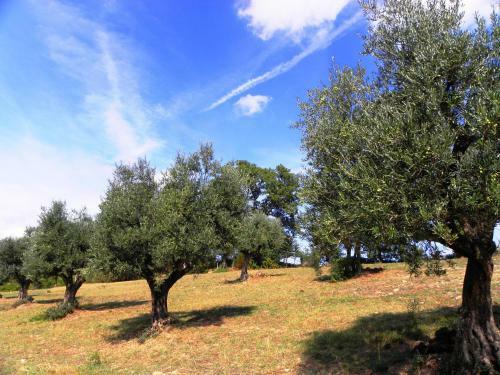 Agroturismo Aurora
