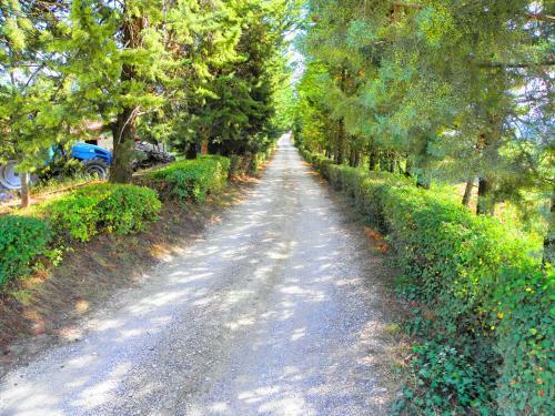 Agroturismo Aurora