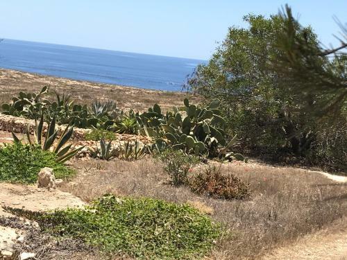Apartamento Dammusi Cala Galera