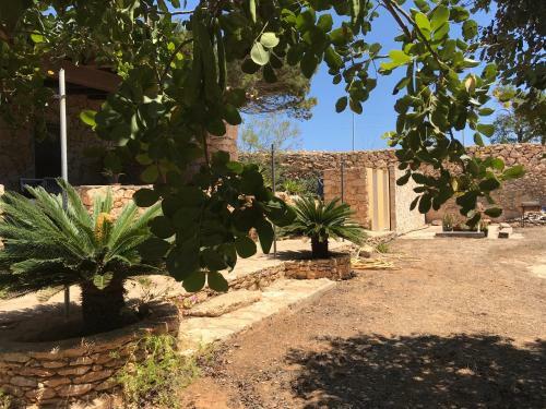 Apartamento Dammusi Cala Galera