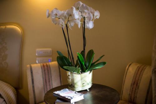 B&B Charme Celestino V�