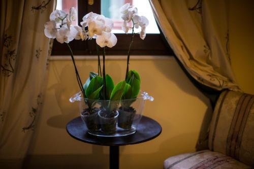 B&B Charme Celestino V�