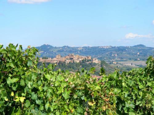 Azienda Agricola Cameli 120s