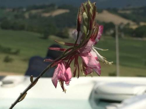 Bed & Breakfast Serre Alte Landscape Luxury Rooms