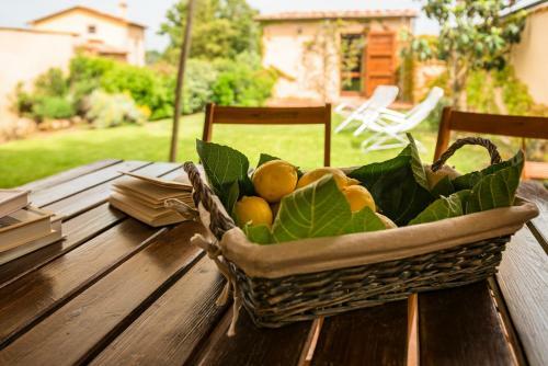 Agroturismo Donzellino