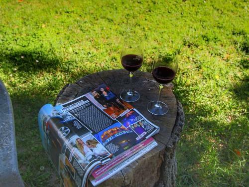 Modern Holiday Home In Colle Di Val D'elsa With Pool