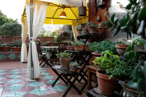 Bed & Breakfast Orchid Corner
