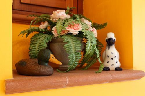 Bed & Breakfast Orchid Corner