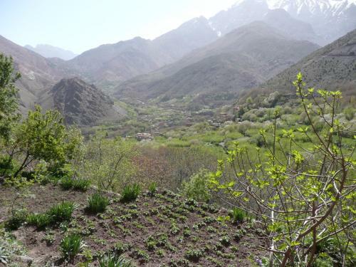 Bed & Breakfast G�te Atlas Mazik