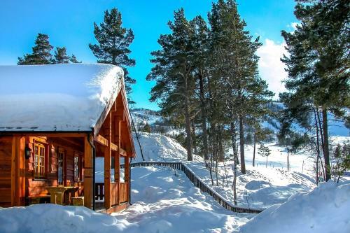 Lodge Geilolia Hyttetun