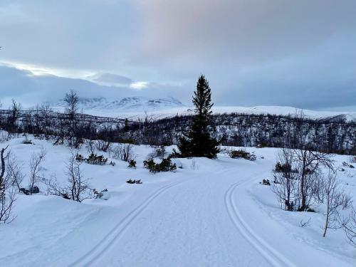 Hotel Hakkesetst�len Fjellstugu