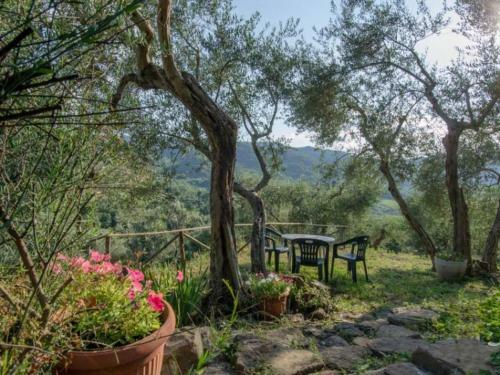 Montelaterone Villa Sleeps 8 Pool Wifi