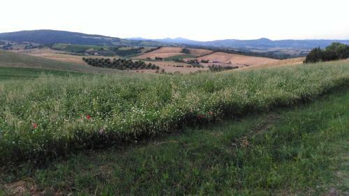 Agroturismo Agriturismo Uliveto Gretacci