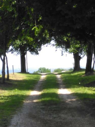 Agroturismo Agriturismo Uliveto Gretacci