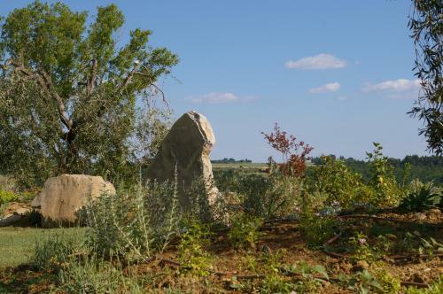 Agroturismo Agriturismo Casa Antheia