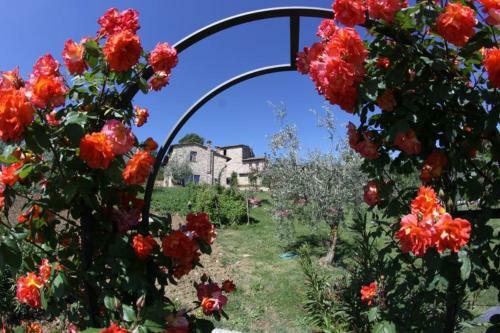 Montepulciano Villa Sleeps 15 Pool Air Con Wifi