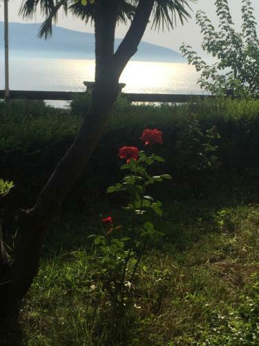 House Of Sun Residence