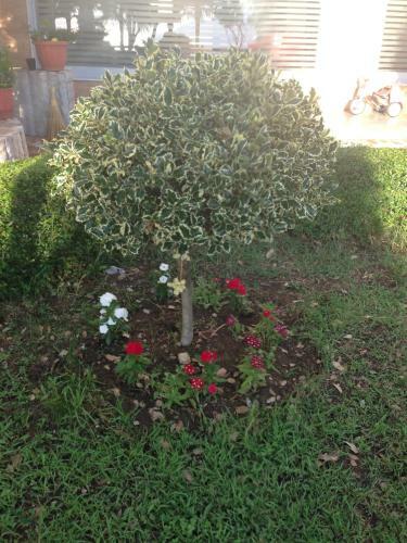 House Of Sun Residence