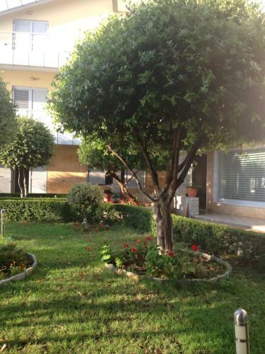 House Of Sun Residence