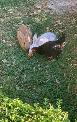 House Of Sun Residence