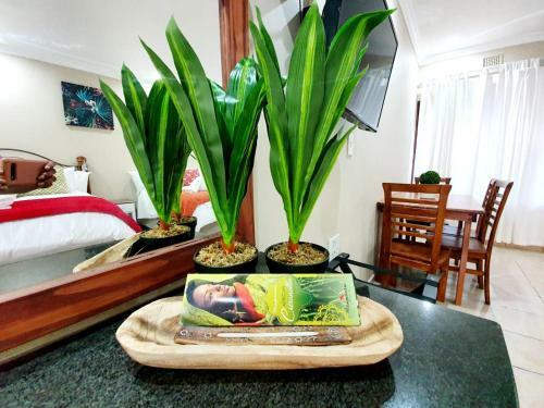 St. Lucia Safari Lodge