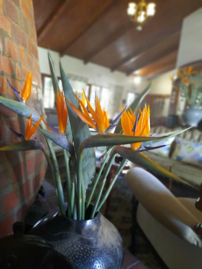 Hostal St. Lucia Wetlands Guest House