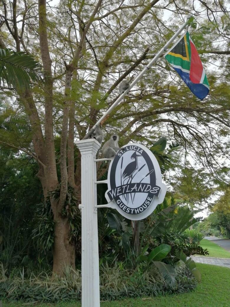Hostal St. Lucia Wetlands Guest House