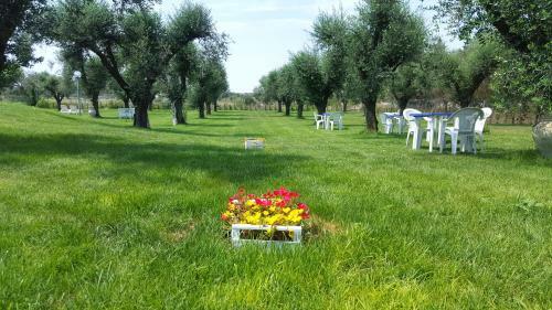 Agroturismo Agriturismo La Rondine