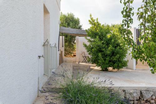 Charming Villas With Pool In Valle D'itria