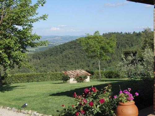 Stabbiano Di Sotto Villa Sleeps 13 Pool Air Con