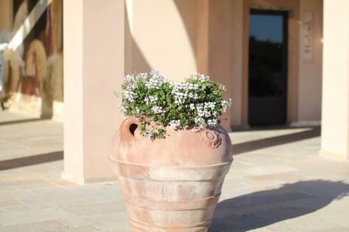 Agroturismo Agriturismo Colleoli