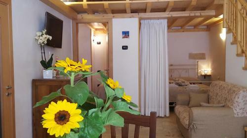 Bed & Breakfast Torres Suite