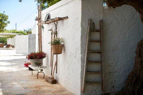 Polignano A Mare Villa Sleeps 12 Pool Air Con Wifi