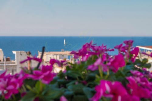 Apartamento Trulli&dimore - Casa Reina