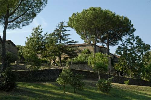 Agroturismo Poggio Oliveto