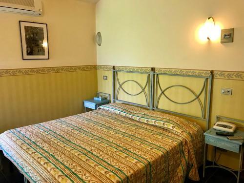 Hotel Del Ponte