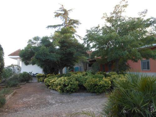 Bed & Breakfast Il Giardino Di Alba