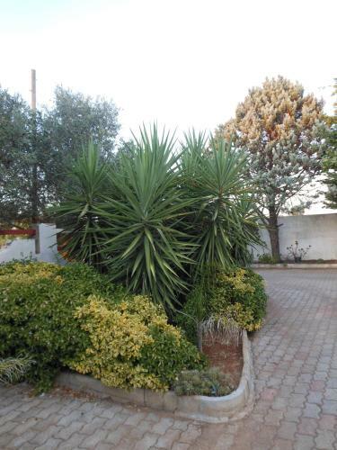Bed & Breakfast Il Giardino Di Alba