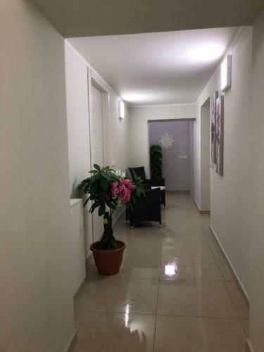 Hostal B&B Vol� Club
