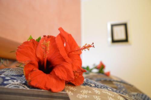 Bed & Breakfast Mar Dei Poeti - Luxury Suites