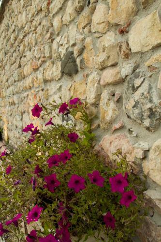 Hostal Villa Di Cazzano - Bioluxury Living