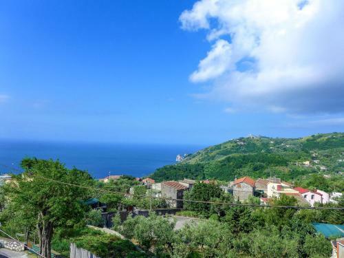 Locazione Turistica Primula