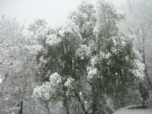 Apartamento Chal� De Soutelinho