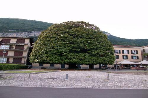 Apartamento Casetta Al Lago