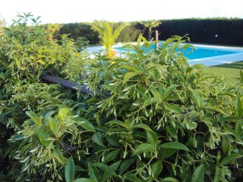 Apartamento Masseria Sant'elia