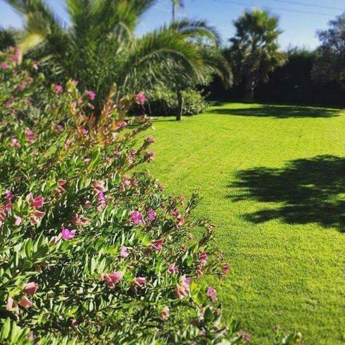 Apartamento Masseria Sant'elia