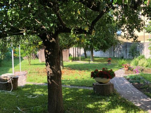 Apartamento House Ivana Thermal