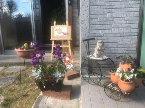 Hostal Minshuku Tomato House